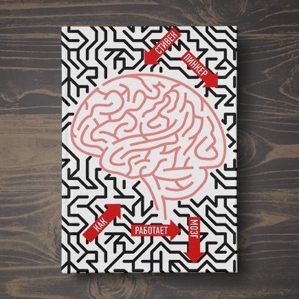 Теория конфликта: как и за что дети соперничают с родителями (и между собой)