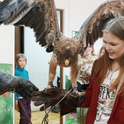 12 самых необычных
школ России