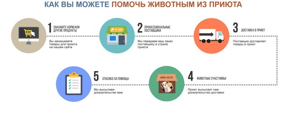 Как помочь животным