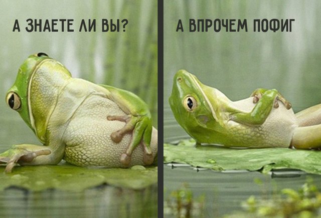 «Мне ничего не интересно. И я кайфую от этого». Подростки — про лень и отсутствие мотивации