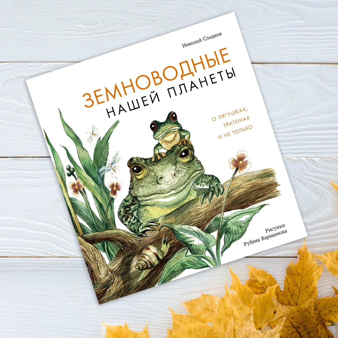 6 книг для детей про природу и экологию | Мел