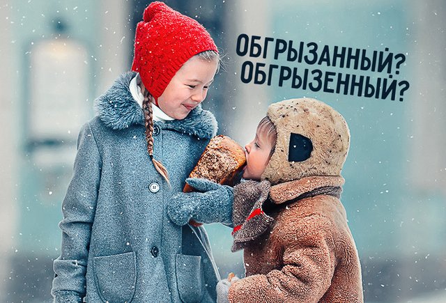 «Обгрызанный» или «обгрызенный» хлеб: как писать правильно (ответ вас удивит)