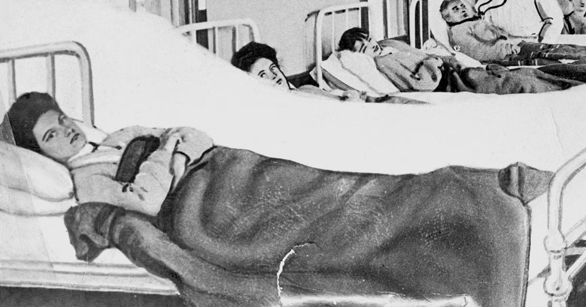 Тиф как выглядит человек После контакта с ней умирали люди: история женщины, которая не болела, но заража