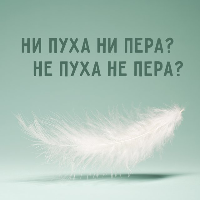 «Ни пуха ни пера» или «не пуха не пера»: как писать правильно и нужна ли тут запятая