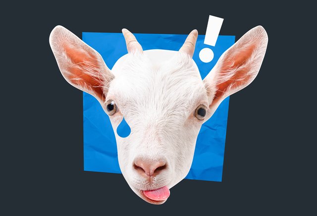 7 версий происхождения фразы «драть как сидорову козу»