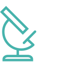 В Подмосковье ученик 11-го класса на школьном занятии случайно открыл бактерию, способную подавлять рост грибков