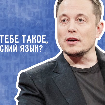 Мемы и Шнуров вместо фразеологизмов: как интернет изменил русский язык