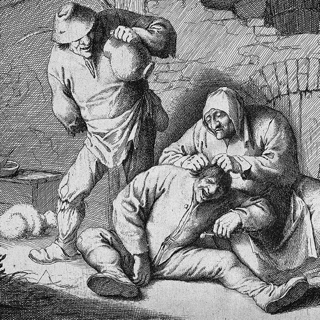 Вши — это не стыдно. Краткая история: от спутников горилл к помощникам в борьбе с тифом