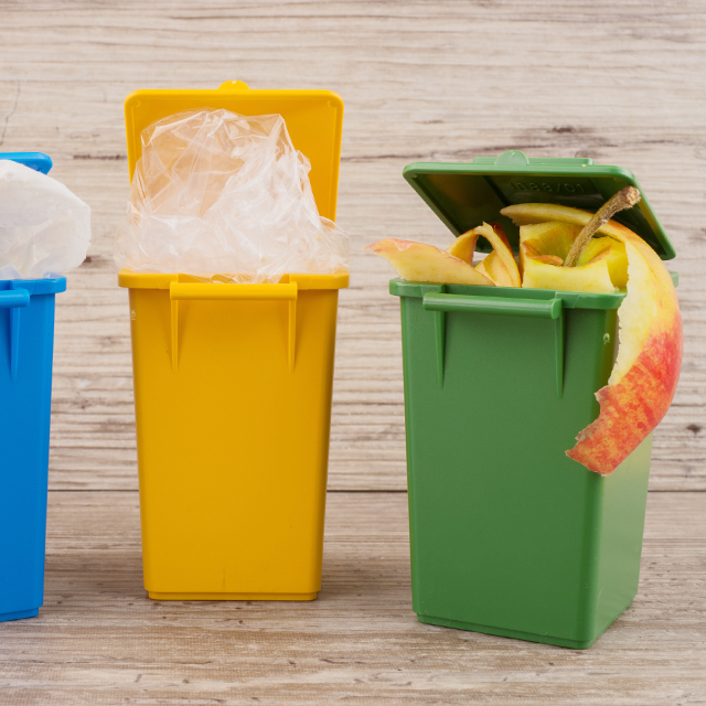 6 простых вещей, которые помогут экологии (и они точно в ваших силах)