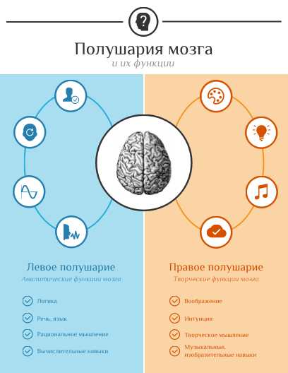 Инфографика сравнения