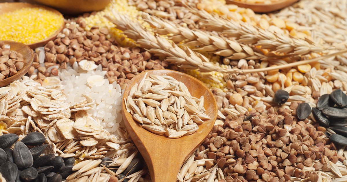 The Benefits of Grains: Exploring Facts and Questions About Grain Products