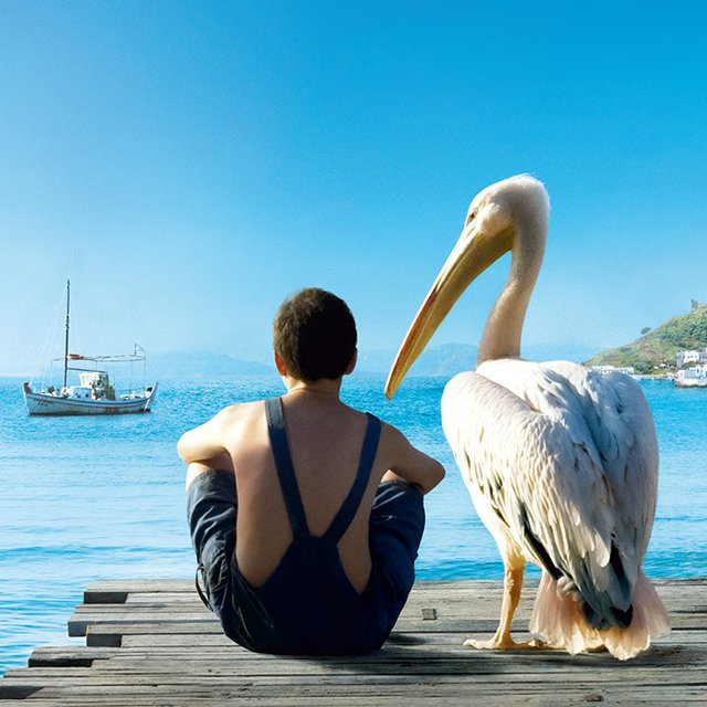 10 трогательных фильмов о дружбе с животными