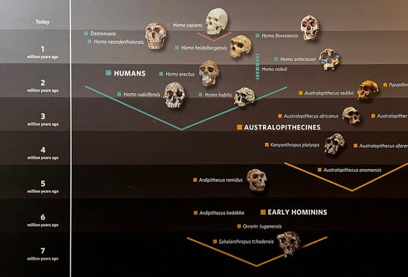 Еще один способ сделать школьные уроки интереснее: учимся использовать таймлайн