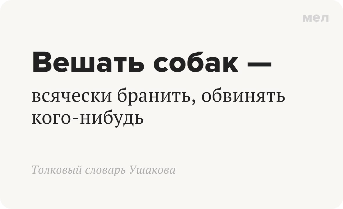 вешать собак значение грамотность