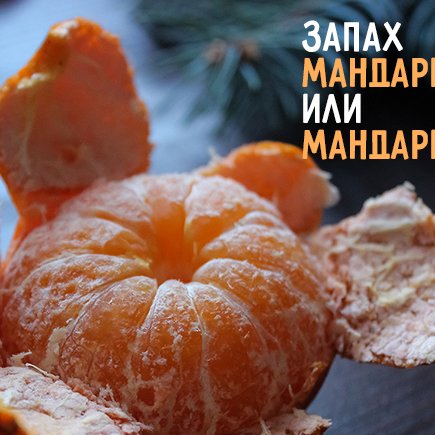 Как правильно: «запах мандаринов» или «мандарин»