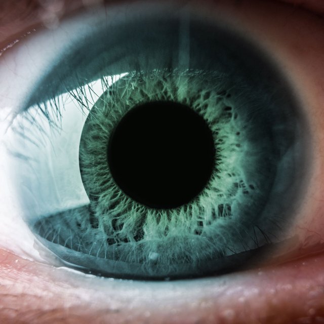 Черника не поможет, а вот прогулки – да. Офтальмолог — о том, как остановить развитие близорукости у ребенка