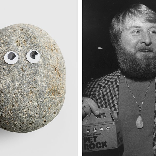 «Камни умеют сидеть и лежать». История человека, который продавал гальку как домашних животных