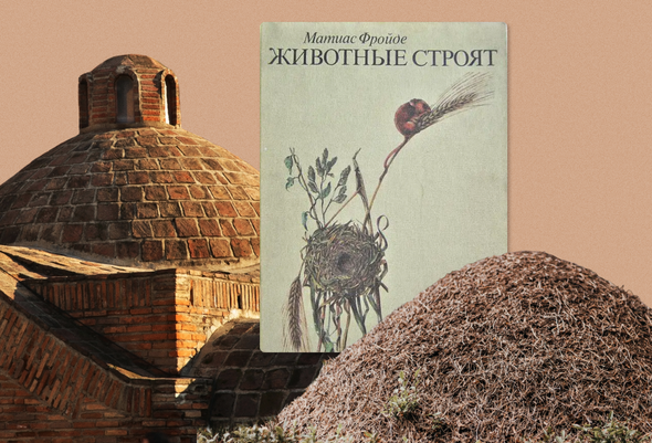 Животные строят Фройде