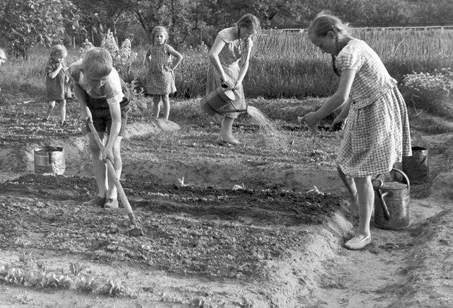 Дети носили его фамилию и звали папой. История крестьянина Василия Ершова — педагога без образования