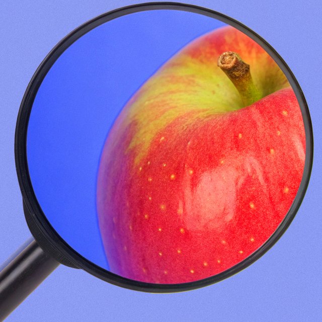 25 советов, как выбрать качественные продукты: читаем этикетки, оцениваем на глаз и не только