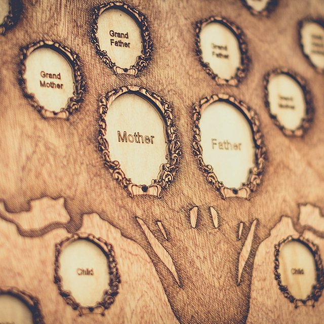 Как построить самое большое семейное древо и зачем вообще оно нужно