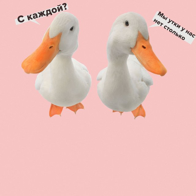 «Двадцать два суток» или «двадцать двое суток»: как говорить правильно