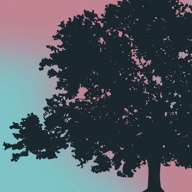 7 вопросов о том, как читать «Войну и мир», исторические ляпы в романе и лайфхаки, как увлечь им школьников