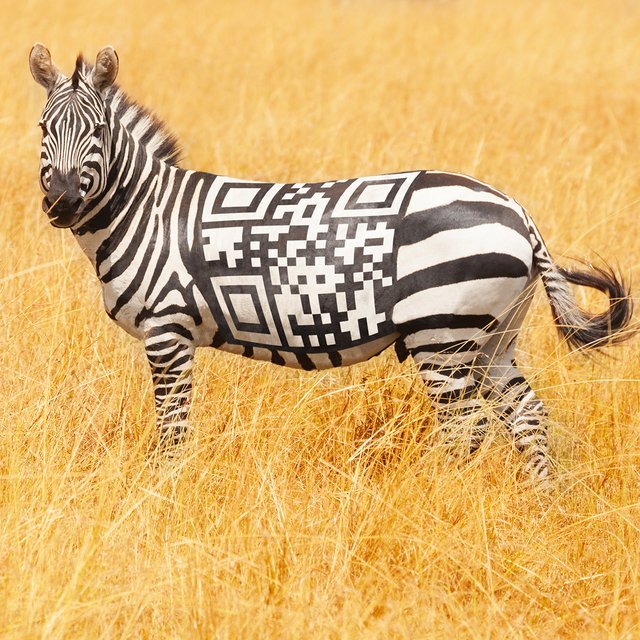 «Кьюаркод» или «куаркод»: как говорить правильно