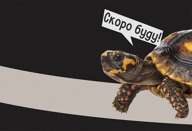 «В полутора километрах» или «в полуторах»: как говорить правильно