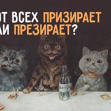 6 слов на «пре-» и «при-», которые заставляют нас сомневаться