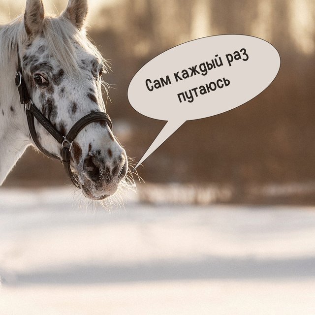 Надеть или одеть пальто? Тест по словам, которые похоже звучат, но имеют разное значение