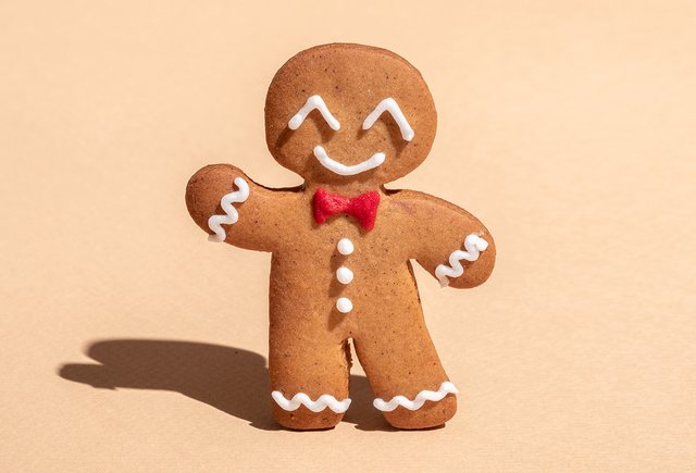 10 рецептов новогодней выпечки: кексы, штоллены, имбирное печенье и пряничный домик