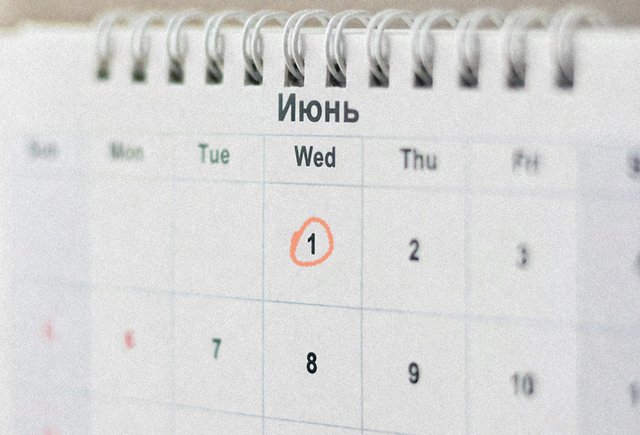 Чуть больше месяца до ЕГЭ: как успеть подготовиться и не сойти с ума