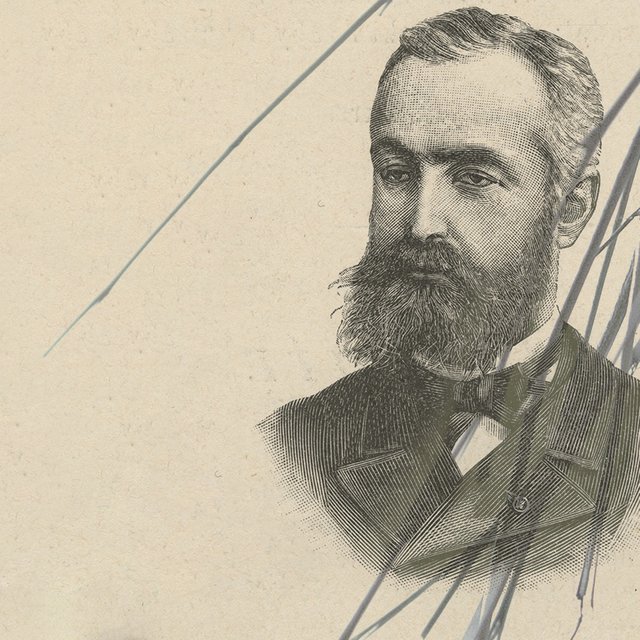 Девочку пороли, все были за: как в 1876 году присяжные оправдали банкира, истязавшего семилетнюю дочь