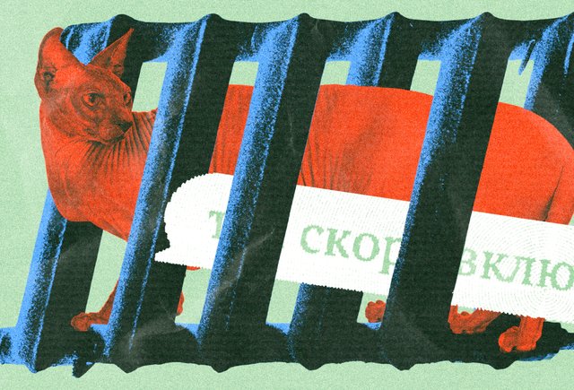Отопление скоро «вклю́чат» или «включа́т»? Как говорить правильно