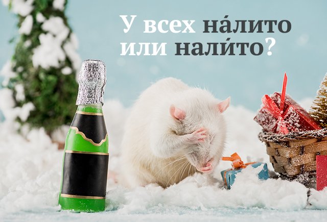 10 сложных новогодних слов, которые помогут грамотно встретить 2020 год