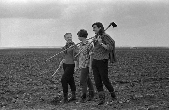 «Слезы капали прямо в клей». Как проходила летняя практика в школах — истории из 1960-х и до наших дней