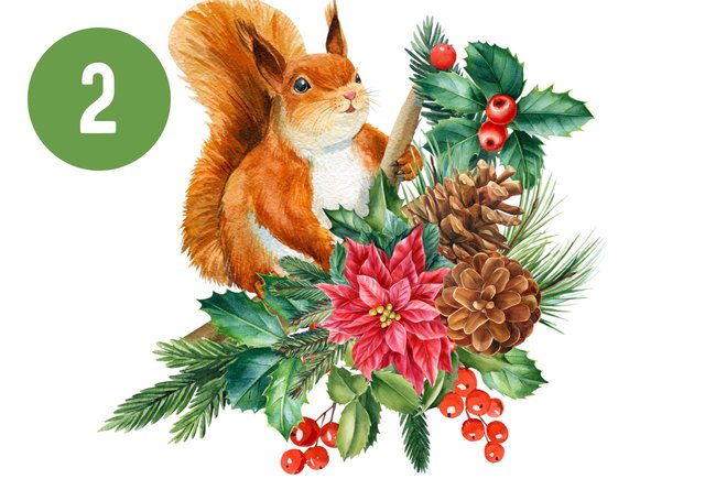 Адвент-календарь «Мела». 29 дней до Нового года