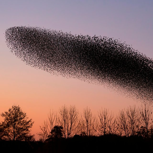 Как выглядит северное сияние? Тест: угадайте природное явление по фото