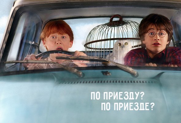 что такое поттер тест. Смотреть фото что такое поттер тест. Смотреть картинку что такое поттер тест. Картинка про что такое поттер тест. Фото что такое поттер тест