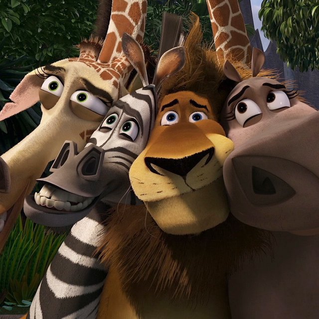 Тайные смыслы мультфильма «Мадагаскар»: шутки и пасхалки, которые поймут только взрослые