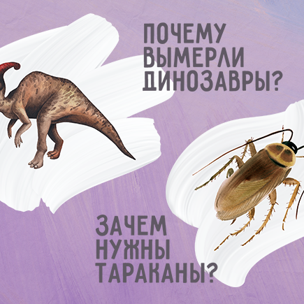 9 простых вопросов, которые вам обязательно задаст ребёнок (если ещё не задал!)