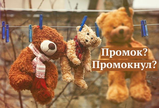 «Промок» или «промокнул»? Как говорить и писать правильно