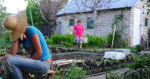 Конкурс фото дачников садоводов 2024 Садовые Фигуры, gardening shop, Shushary Settlement, Moskovskoe Highway, 162 - Y