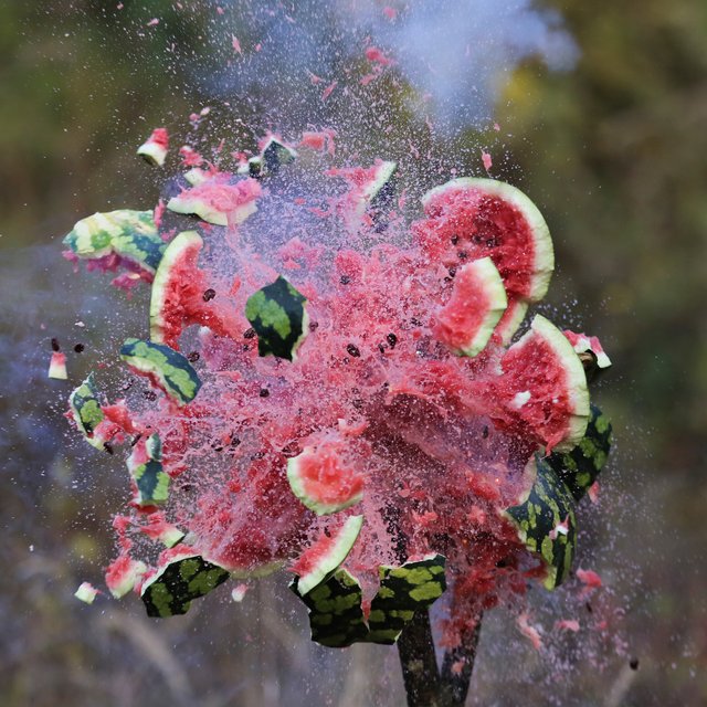 24 эксперимента для детей на свежем воздухе: реквизит найдется на улице или у вас дома