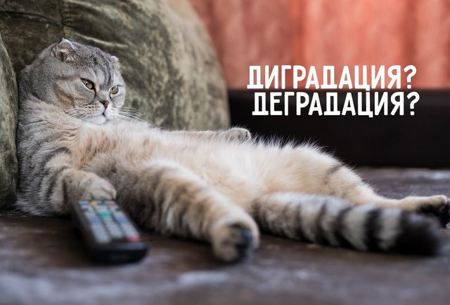 Как правильно: «диградация» или «деградация»