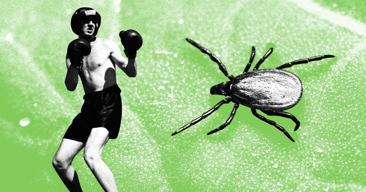 «Иммунитет к энцефалиту» или «от энцефалита»? Как говорить правильно