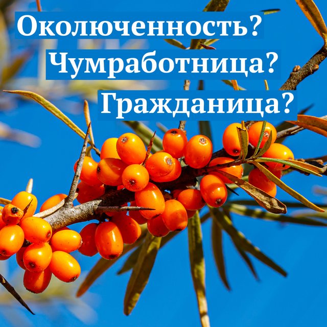8 неожиданных слов и выражений, которые пополнили словарь русского языка в 2022 году