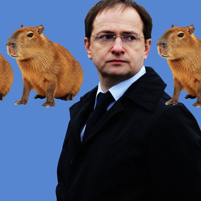 Капибара — это кто? А приколич? Тест: сможете ли вы отличить реальных животных от сказочных