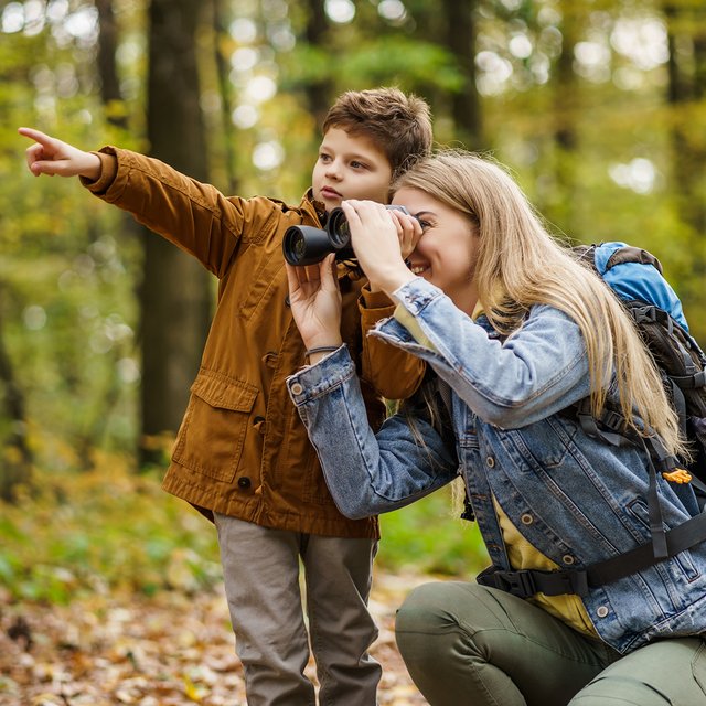 11 идей для прогулок по лесу с детьми: не только квесты и «находилки», но и развитие воображения